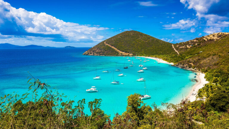 Exploring the Untamed Beauty of Virgin Islands National Park
