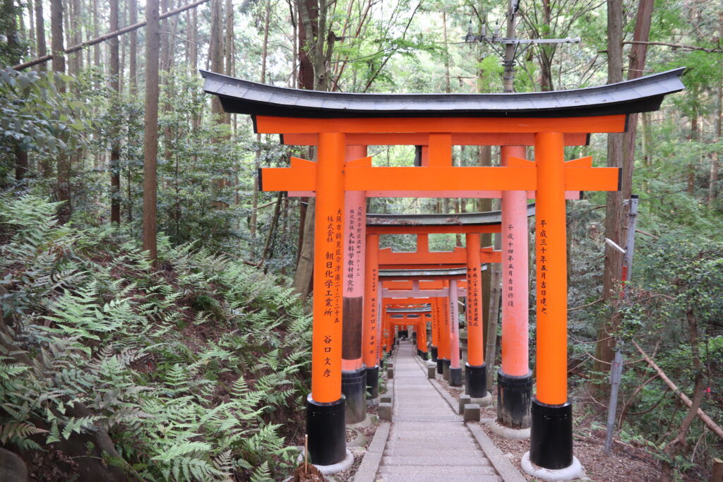 Exploring the Timeless Charm of Kyoto