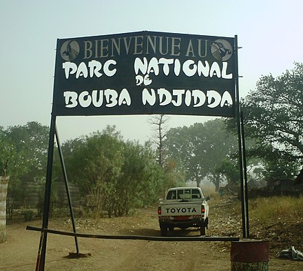 Bouba Njida National Park A Hidden Gem in Cameroon