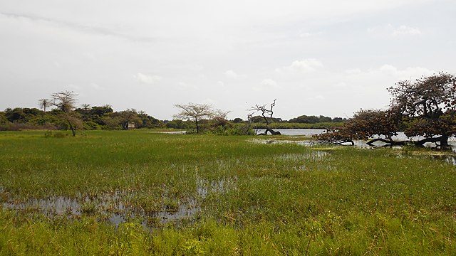 Exploring Orango National Park A Hidden Gem of Biodiversity