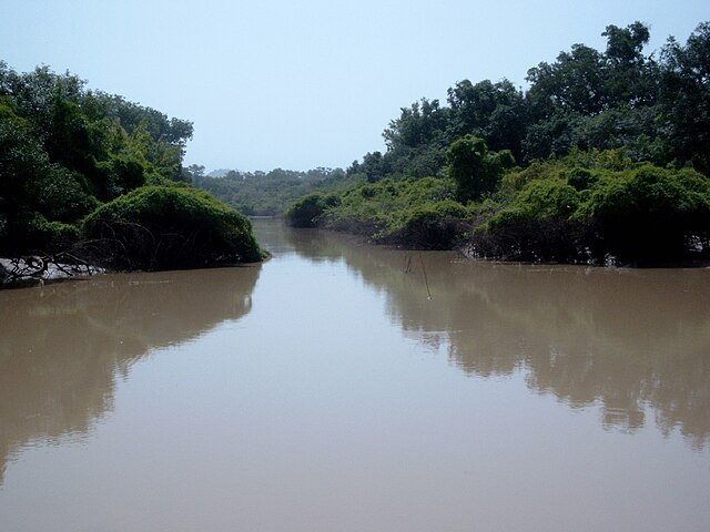 Discovering Arli National Park A Wilderness Paradise in Burkina Faso