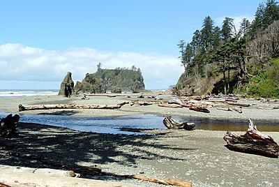 Exploring Olympic National Park A Natural Wonder of the United States