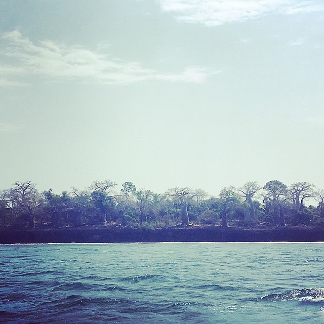 Exploring Kisite-Mpunguti Marine National Park A Jewel of Kenya’s Coastline