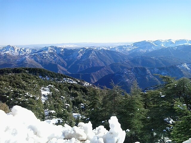 Exploring Chréa National Park A Natural Gem in Algeria