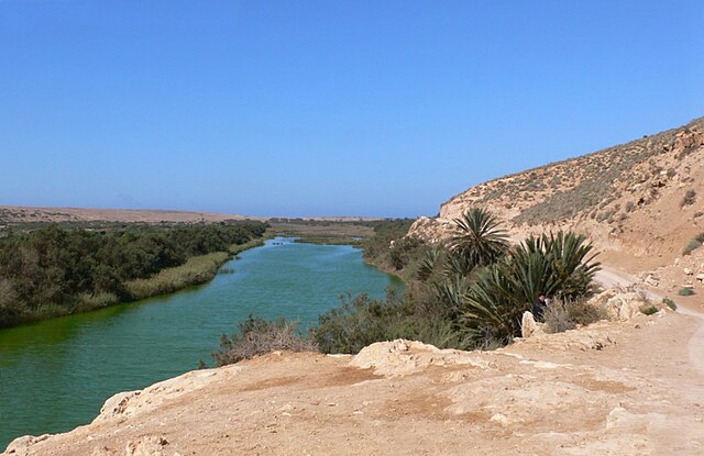 Exploring Souss-Massa National Park A Natural Treasure of Morocco