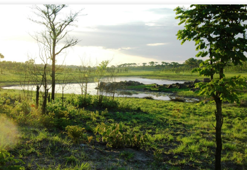 Bicauri National Park A Pristine Haven of Biodiversity and Conservation