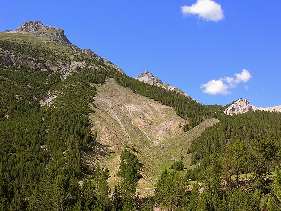 Exploring Swiss National Park A Journey into Switzerland’s Wilderness