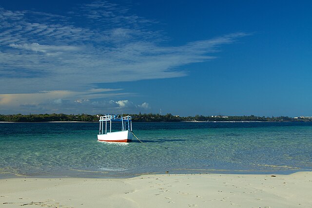 Exploring Mombasa Marine Park A Jewel of Kenya’s Coastline