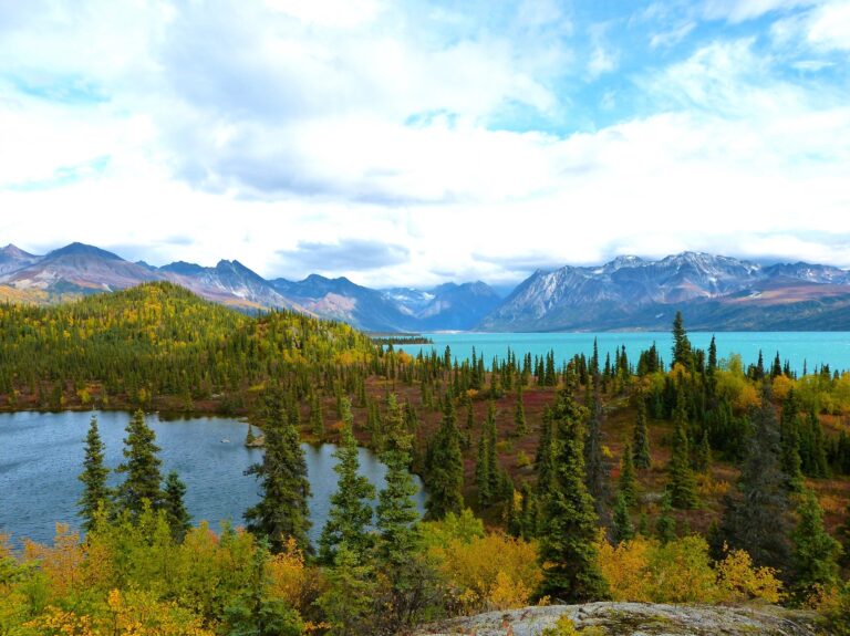 Exploring the Wonders of Lake Clark National Park and Preserve