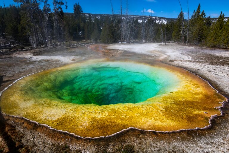 Yellowstone National Park Video